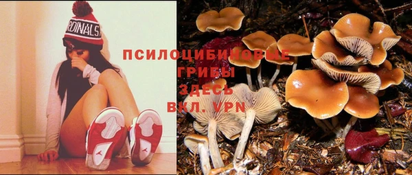 гидропоника Абаза