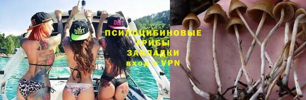 мдпв Абинск