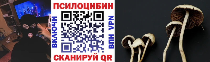 где продают наркотики  Абинск  Псилоцибиновые грибы Magic Shrooms 
